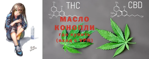 тгк Алзамай