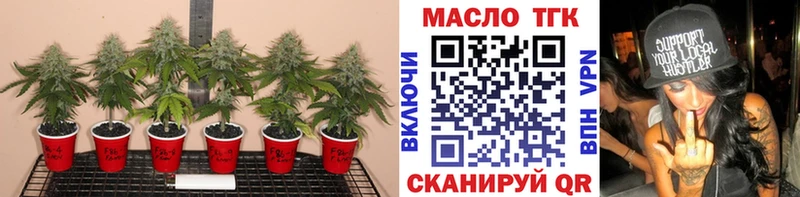 Дистиллят ТГК Wax Харовск