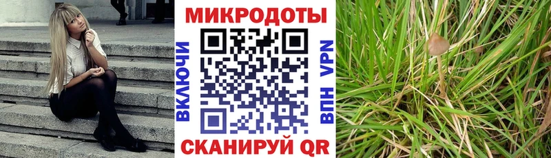 Галлюциногенные грибы прущие грибы  Харовск 